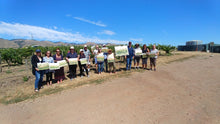 Baileyana Winery Plein Air Watercolor Workshop