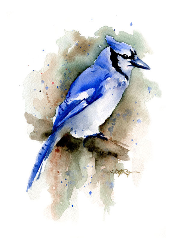 Blue Jay – djrogersart.com