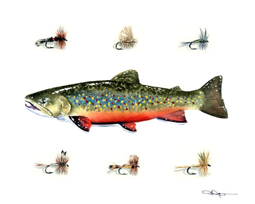 Trout Fishing Flies (VI). Fine art print.