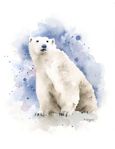 Polar Bear