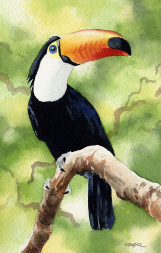 Toucan