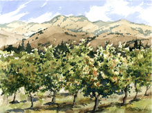 Baileyana Winery Plein Air Watercolor Workshop